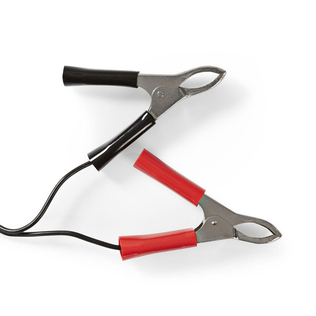 Töltő Ólomsavas Akkumulátorhoz | 2/6/12 V