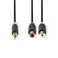 Sztereó audiokábel | 3.5 mm Dugasz | 2x RCA Aljzat | Aranyozott | 0.20 m | Kerek | Antracit | Doboz