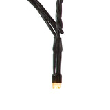 SmartLife Dekoratív LED | Húr | Wi-Fi | Meleg és lehűlni fehér | 400 LED's | 20.0 m | Android™ / IOS