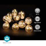 SmartLife Dekoratív Lámpák | Party LED füzér | Wi-Fi | Meleg Fehér | 10 db. LED | 9.00 m | Android™ | Izzó átmérő: 45 mm-0