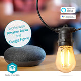 SmartLife Dekoratív Lámpák | Party LED füzér | Wi-Fi | Meleg Fehér | 10 db. LED | 9.00 m | Android™ | Izzó átmérő: 45 mm-5